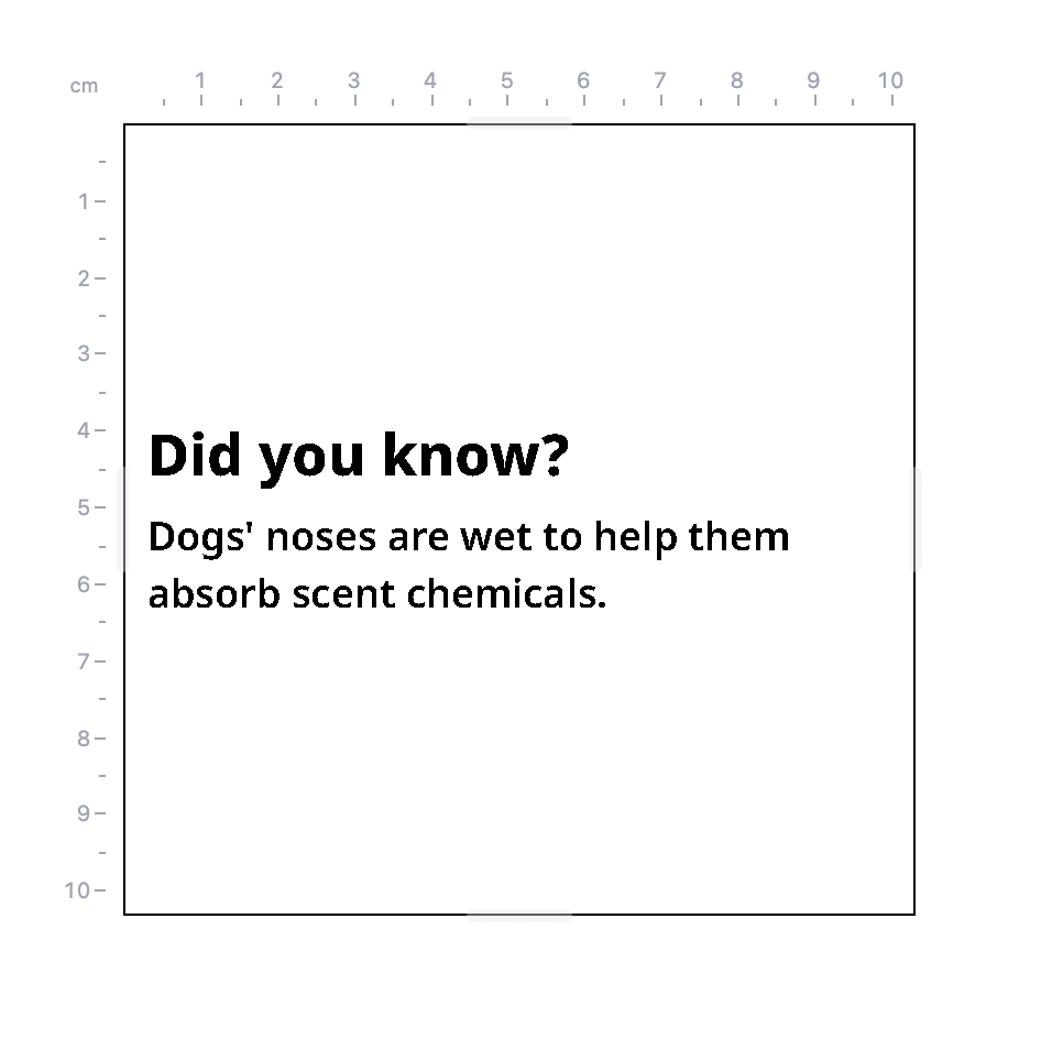 The preview showing the Widget with its Input filled in by the value for testing: Did you know? and a fact about dogs