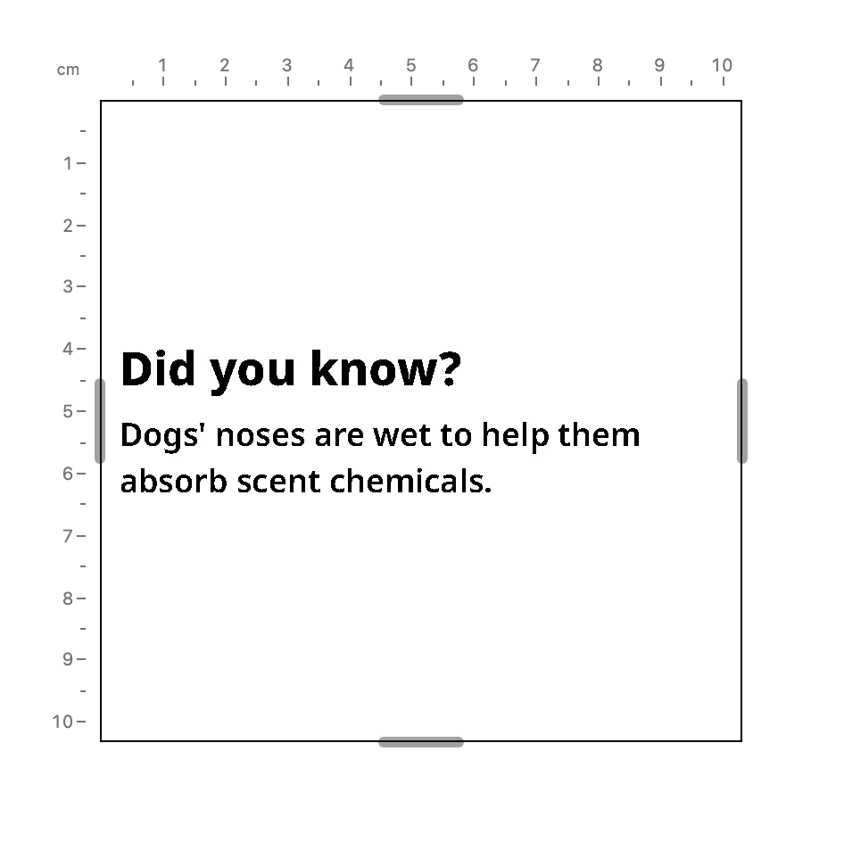The preview showing the Widget with its Input filled in by the value for testing: Did you know? and a fact about dogs